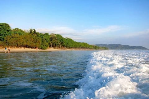 Beach nearby, white sand