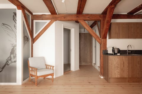 Exclusive Apartment | Private kitchen | Full-size fridge, oven, stovetop, dishwasher