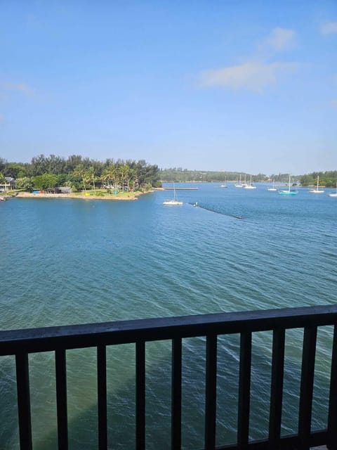 Standard Apartment, Beach View | Terrace/patio