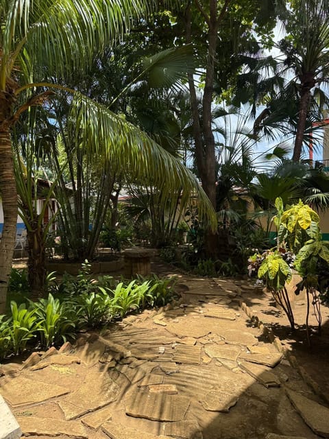 Classic Studio, Courtyard View | View from room