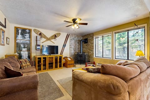 Living room with wood burning fireplace and large windows