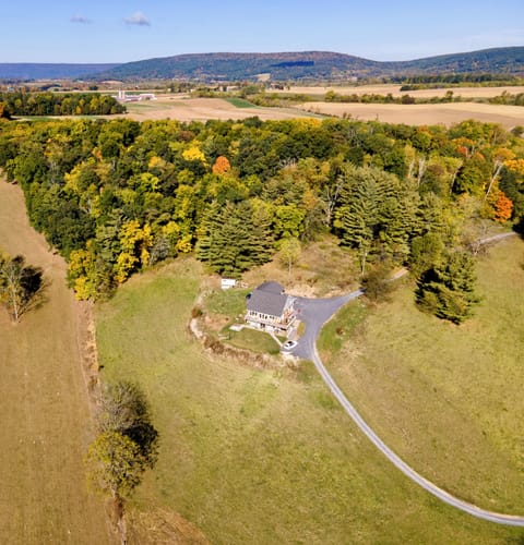 Drone View of Buckleberry View