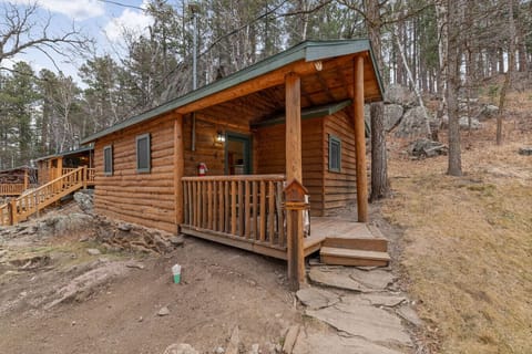 Cozy log cabin with a covered porch tucked into the pines.