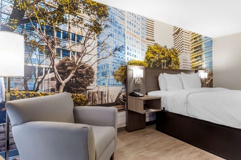 Standard Room, 1 King Bed, Non Smoking | Pillowtop beds, desk, iron/ironing board, WiFi (free)