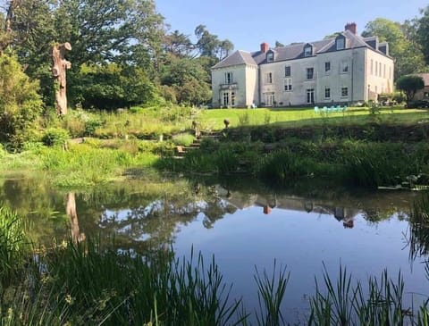 house view from the pond