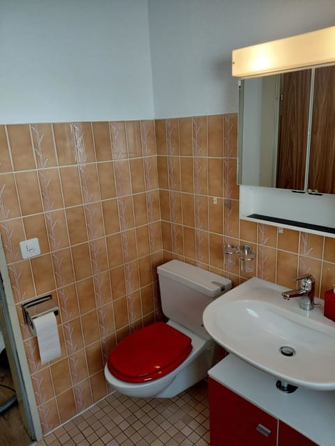 Flooring, Floor, Plumbing Fixture, Bathroom, Toilet Seat, Interior Design, Tile, Plumbing, Toilet, Bathroom Sink