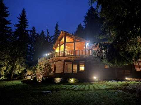 Private forest retreat glowing under the trees — your luxury escape begins here.