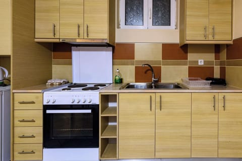 Fully Equipped Kitchen with Oven and Storage Cabinets