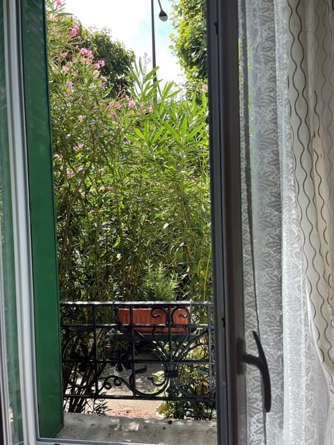 Window bed room view to the garden