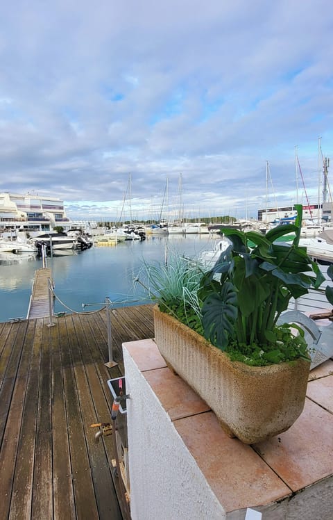 Marina