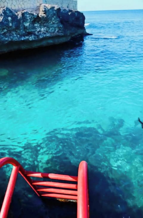 handrail ocean access, outdoor, body of water, reserve free test dives, 