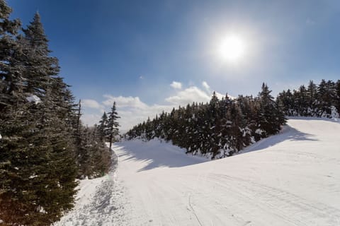 A pristine, sunlit trail invites skiers and snowboarders to glide through the breathtaking landscape of Okemo Mountain, surrounded by frosty evergreens shimmering under the clear blue sky.