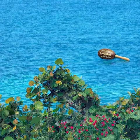 summer, outdoor, body of water view from property grounds. 