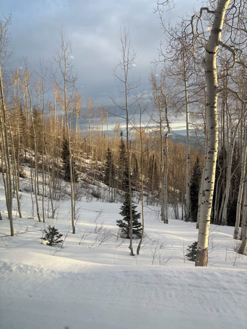 View from home