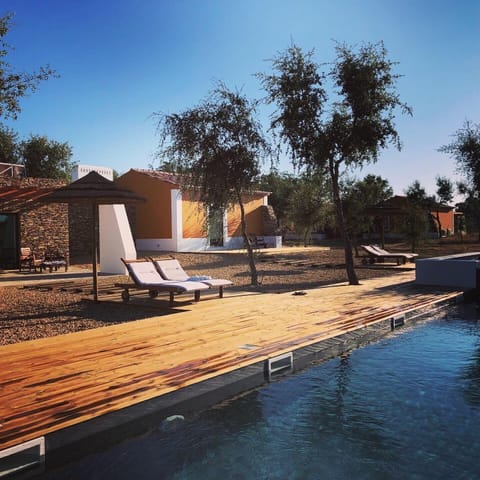 Outdoor pool, sun loungers