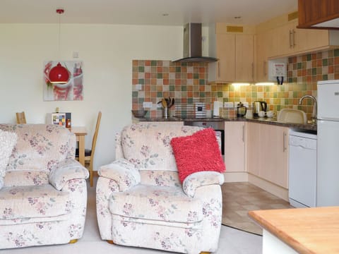 Cosy open plan living space | Virginia Cottage - East Dunley Cottages, Bovey Tracey