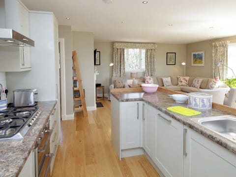 Well-equipped galley style kitchen | Cedar Lodge, Portpatrick
