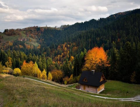 House | View from property