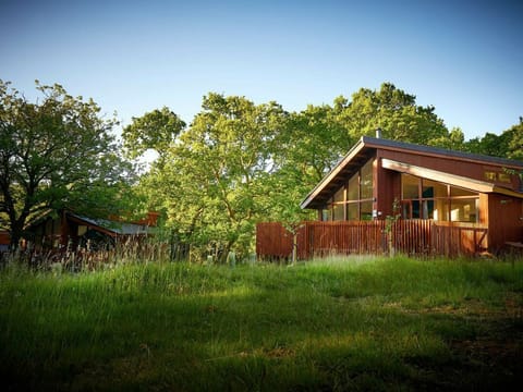 Beddgelert Silver Birch - freshly inspired design wheelchair accessible cabin