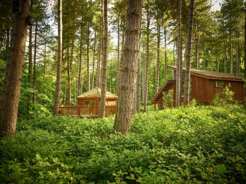 Sherwood Forest Golden Oak Treehouse