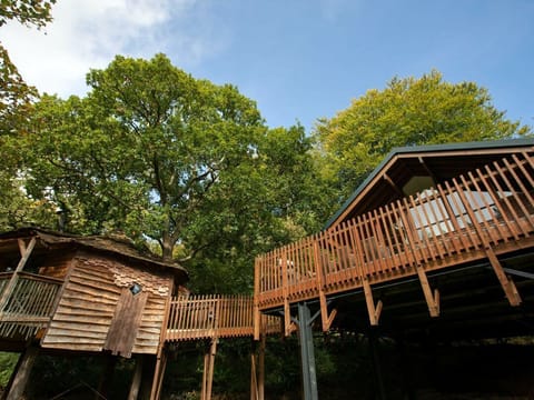 Deerpark Classic Golden Oak Treehouse