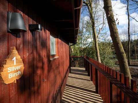 Forest of Dean Woodland - Silver Birch wheelchair accessible cabin