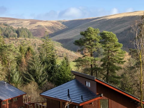 Garwnant Silver Birch Valley View