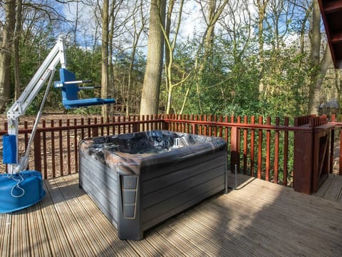 Garwnant Silver Birch wheelchair accessible cabin