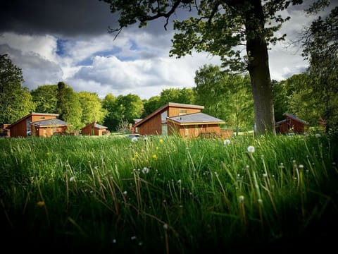 Forest of Dean Meadow - Silver Birch wheelchair accessible cabin