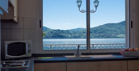 Superior Apartment, 1 Bedroom, Kitchen, Lake View | Private kitchen | Fridge, microwave, stovetop, coffee/tea maker