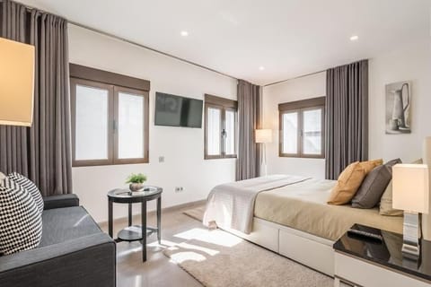 Luxury Apartment | In-room safe, blackout drapes, iron/ironing board, free WiFi