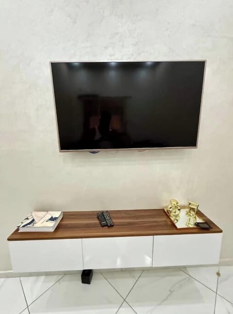 Television
