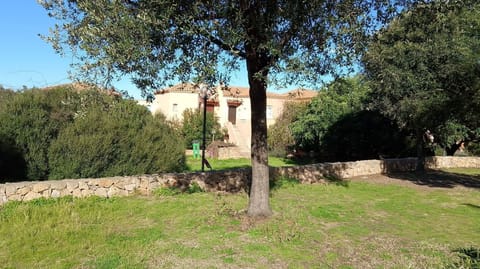 Tree, Grass, Leaf, Branch, Shrub, Rural Area, Garden, Soil, Shade, Lawn