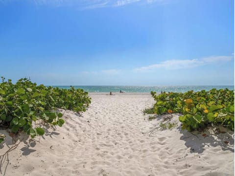 Pristine white sand beach framed by lush vegetation leads to crystal-clear turquoise waters under brilliant blue skies.