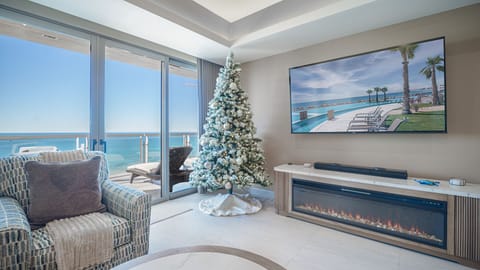 Christmas tree and fireplace in the living room groom