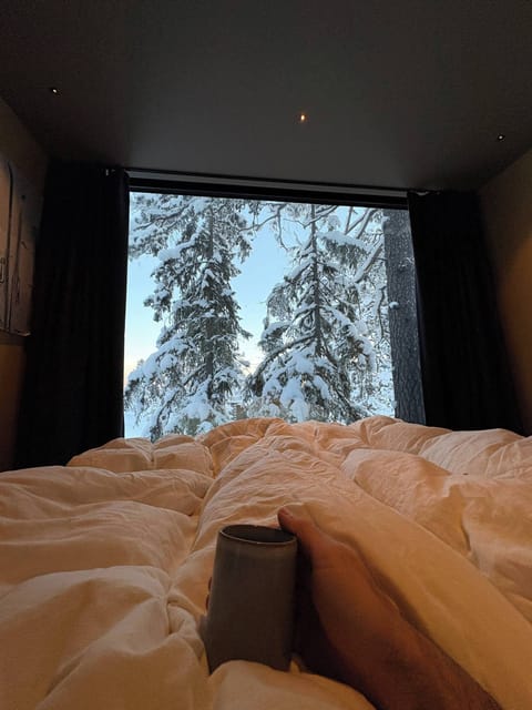 Cabin, 2 Bedrooms, Terrace, Mountain View | 2 bedrooms