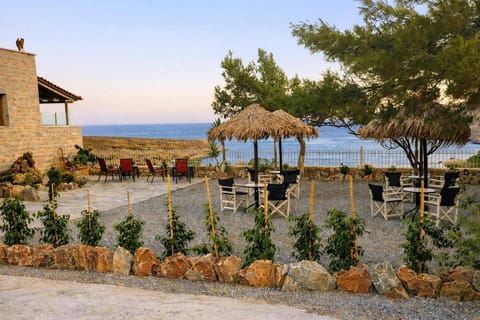 Garden Courtyard with Mediterranean Plants and Sea View