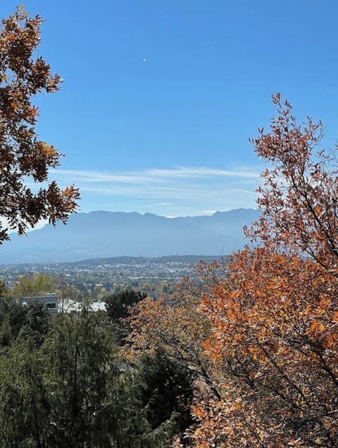 View from bedroom