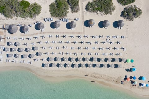 Beach nearby, white sand, sun loungers, beach bar