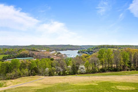 Lake view