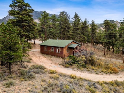 Cabin retreat surrounded by towering pine trees