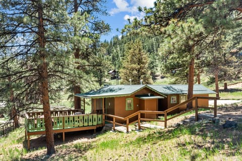 Rustic cabin exterior with green-trimmed windows, decorative tree cutouts on the deck railing, and surrounding tall pine trees.