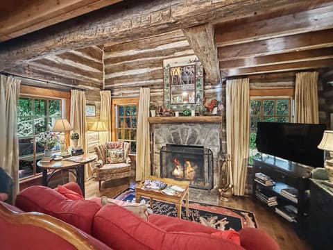 Living room with wood burning fireplace