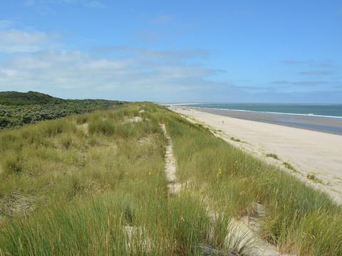 Nearby beach