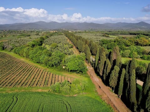 Aerial photography