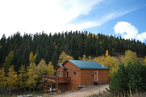 Our cabin during Aspen season