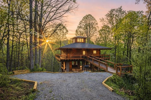 Cloud 9 Treehouse
