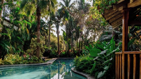 Villa, 2 Bedrooms, Private Pool, Garden View | Pool | Indoor pool, outdoor pool, sun loungers