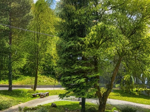 Apartment | Garden