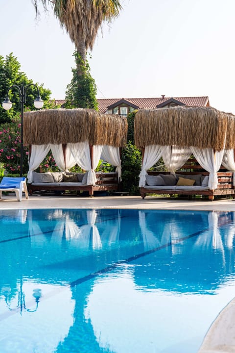 Seasonal outdoor pool, pool umbrellas, sun loungers